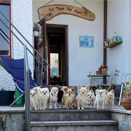 B&B Il Tempo Del Sogno Con Cani E Gatti Pet&Breakfast Baveno Exteriér fotografie